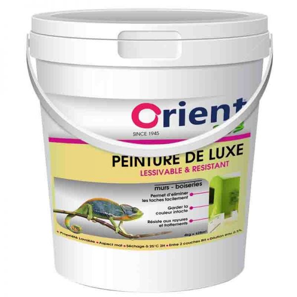 Peinture a l'eau Orient plus 20kg couleur