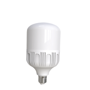 AMPOULE LED OPAQUE E27 30W