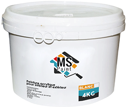 Peinture a l'eau MS Paint 4kg blanc