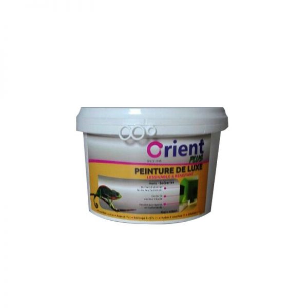 Peinture a l'eau Orient plus 4kg couleur