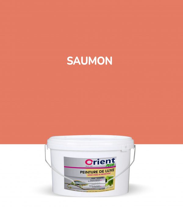 Peinture a l'eau Orient plus 4kg couleur: SAUMON
