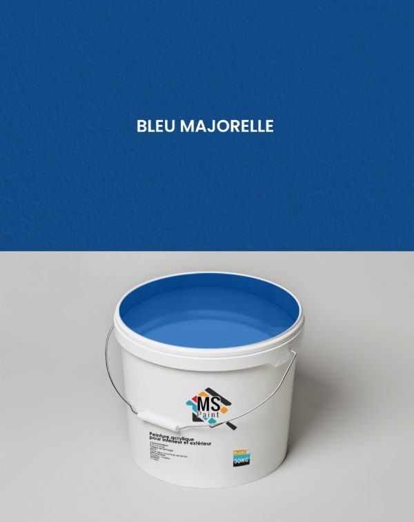 PEINTURE A L'EAU INTERIEUR/EXTERIEUR "MS" 30KG BLEU MAJORELLE