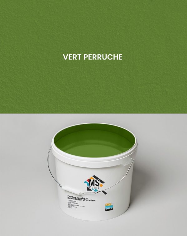 PEINTURE A L'EAU INTERIEUR/EXTERIEUR "MS" 30KG VERT PERRUCHE