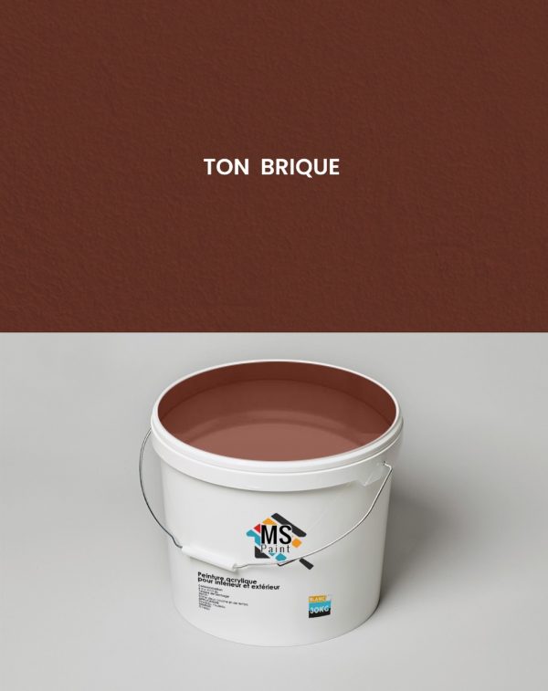 PEINTURE A L'EAU INTERIEUR/EXTERIEUR "MS" 30KG TON BRIQUE