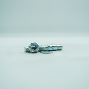 BOULON D'EXPANSION 10X60mm