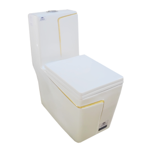 WC MONOBLOC  BLANC P TRAP 690*360*780MM REF:5011W