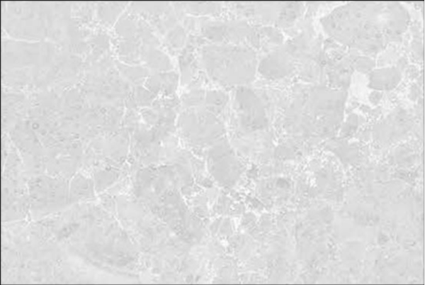 CARREAUX 200X300X6.3MM GLOSSY-PLAIN NOVA-  "INDE" REF:2052-L