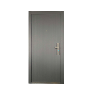 BLOC PORTE COMPLET BLINDE 205*90*5CM  REF:SECUS029-L