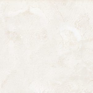 CARREAUX 200X300X7.5MM VITRIFIE