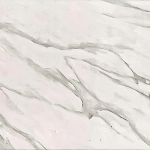 CARREAUX 200X300X7.5MM VITRIFIE