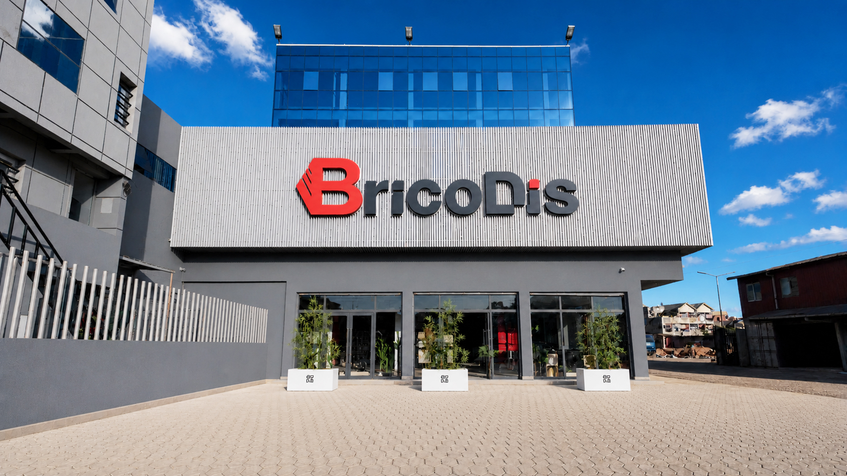 Bricodis Bypass