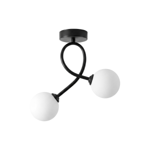 PLAFONNIER DESIGN ARTISTIQUE EN ACIER NOIR À 2 LUMIÈRES