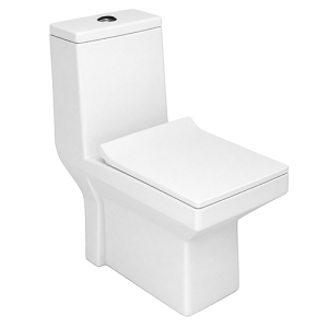 WC MONOBLOC P-TRAP 225MM