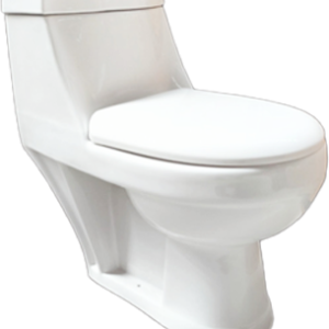 WC MONOBLOC P-TRAP 700X350X670MM "INDE" REF : FILIPPO